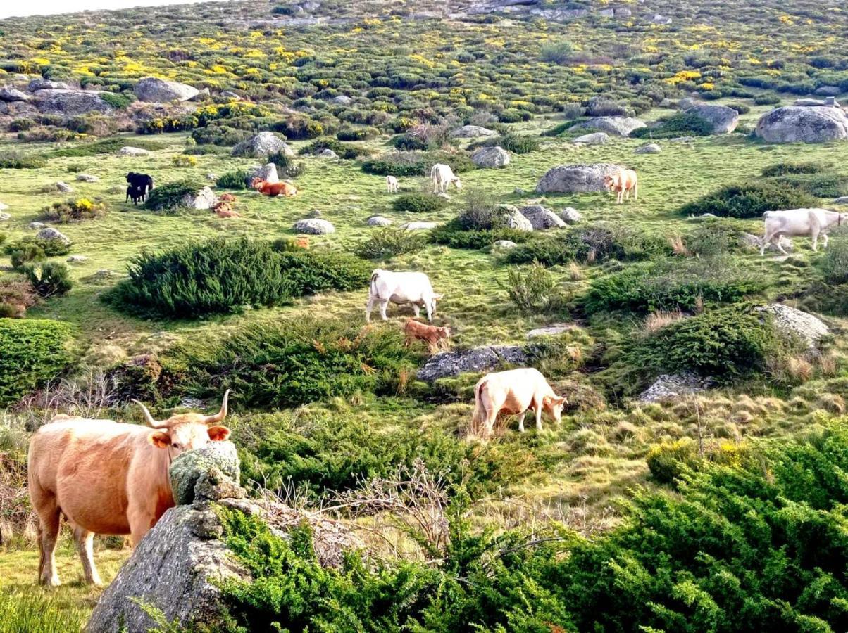 Navaquesera Mirador De Gredos Ávila 외부 사진